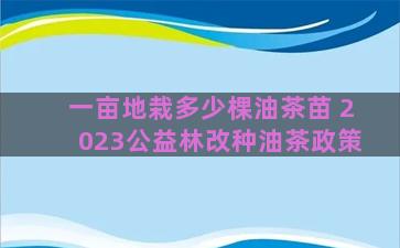 一亩地栽多少棵油茶苗 2023公益林改种油茶政策